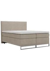 Boxspringbett Cromo Beige ca. 200x200