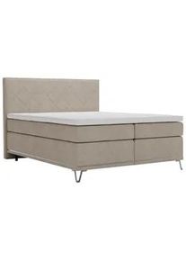 Boxspringbett Cromo Beige ca. 200x200