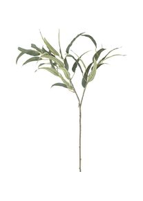 Bloomingville, Kunstpflanzen, Eucalyptus (85 cm)