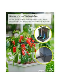 Gusta Garden, Anzuchtt&ouml;pfe + Anzuchtschalen, Charly Chili XL