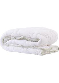 Domoletti, Decke, PREMIUM ALOE VERA blanket, 160x200 cm, white (200 x 160 cm)