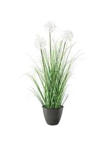 Kunstpflanze Daisy mit &Uuml;bertopf, ca. 78cm