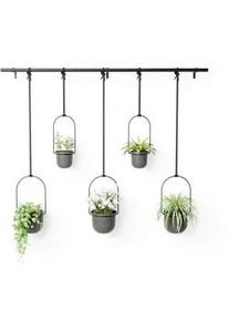 Umbra Wand-Pflanzentopf Schwarz