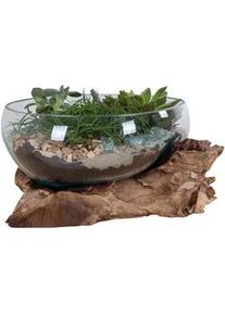 Dekoschale San Marino Klar/Teakfarben