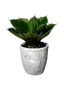 Kunstpflanze Echeveria in Gr&uuml;n