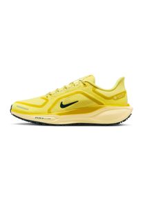 Nike Pegasus 41 GTX Herren