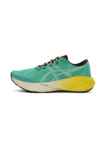 asics Novablast 5 TR Homme