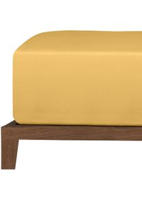 Spannbettlaken uncover by Schiesser "New Jersey aus 100% Baumwolle", gelb (senf), B:100cm L:200cm, Jersey, Obermaterial: 100% Baumwolle, Bettlaken, Spannbettlaken, Made in Green