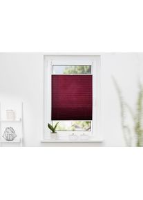 Plissee K-home "Klemmfix Pisa" Gr. 75, rot (bordeaux), B:75cm H:130cm, Obermaterial: 100% Polyester, Plissees, Plissee, Crushed-Optik