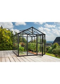 Gew&auml;chshaus Vitavia "Zeus 8100", schwarz, B:266cm T:324cm, Gew&auml;chsh&auml;user, Gew&auml;chshaus