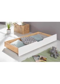 OTTO home Schubkasten &raquo;"LOTTE " passend zum Kinderbett,&laquo; zertifiziertes Massivholz
