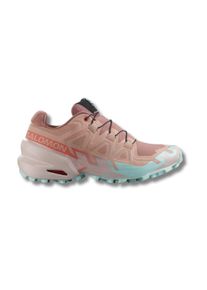 Salomon Damen Speedcross 6 bunt 37.3