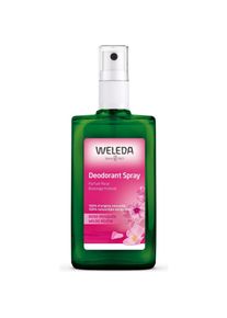 Weleda, Deo, Deodorant - 100 ml (Spray, 100 ml)