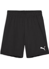 Puma, Jungen, Sporthose, teamGOAL Shorts Jr (164), Orange