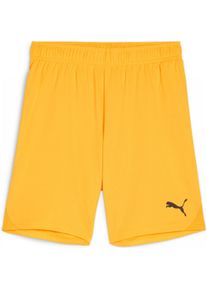 Puma, Unisex, Sporthose, teamGOAL Shorts Jr (164), Rot