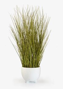 bonprix Plantă artificială &icirc;n ghiveci, verde, onesize