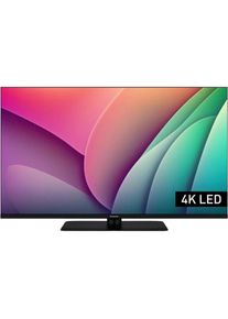 Panasonic TV-43W80AEZ (43", QLED, 4K), TV