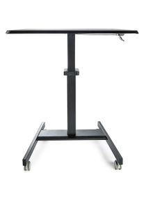 StarTech, Schreibtisch, Mobiler Stehpult (60 x 80 x 110 cm)