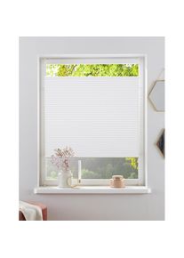 OTTO home Plissee &raquo;CASUL&laquo; verdunkelnd energiesparend ohne Bohren freih&auml;ngend Wabenplissee, Klemmfix ohne Bohren, Verdunkelung - NEUHEIT!