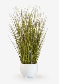 Konstv&auml;xt i kruka - gr&ouml;n - storlek 55 cm - bonprix