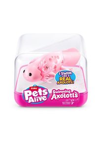 Pets alive Swimming Axolotl