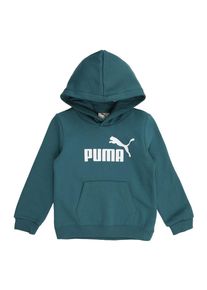 Puma Tr&eacute;ning p&oacute;l&oacute; 'Ess No. 1' Fi&uacute;k z&ouml;ld , M&eacute;ret 110