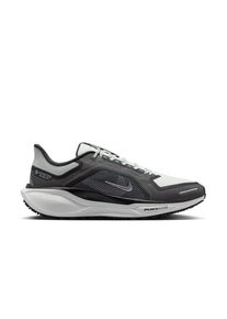 Nike Herren Pegasus 41 GTX grau 44.5