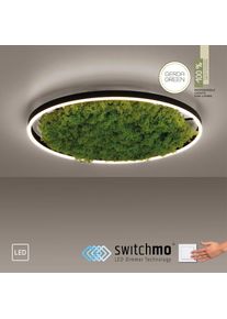 JUST LIGHT Deckenleuchte &raquo;GREEN RITU&laquo; LED-Board 1 Stk. Warmwei&szlig;