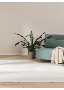 benuta Basic Tekoturkismatto Furry Kerma 80x150 cm Kerma El&auml;inaiheet,Yksiv&auml;rinen
