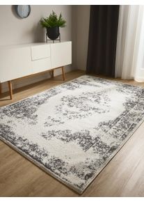 benuta Basic Teppe Sia Cr&egrave;me/Grijs 200x300 cm0000 Krem/Gr&aring; Vintage