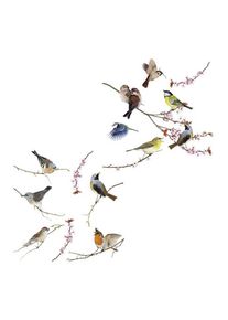 M&Ouml;BELIX M&ouml;belix , Mehrfarbig , Kunststoff , 31x31 cm , Made in Germany , selbstklebend, r&uuml;ckstandsfrei abl&ouml;sbar, wiederverwendbar , Baumarkt, Dekorfolien, Fenster- & Sichtschutzfolien