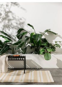 benuta nest Sis&auml;- ja ulkomatonta Rida Beige/Keltainen 80x250 cm Beige/Keltainen Geometrinen,Raitoja,Rakennemix