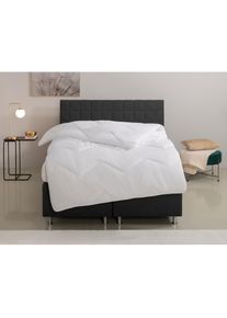 OTTO home, Microfaserbettdecke &raquo;Sartes, Bettdecke 135x200 cm, 155x220 cm&laquo; warm F&uuml;llung Polyester Bezug Polyester 1 Stk. tlg. Bettdecken, Sommer, Decke