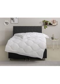 OTTO home, Microfaserbettdecke &raquo;Angly, Bettdecke 135x200 cm und 155x220 cm&laquo; 4-Jahreszeiten F&uuml;llung Polyester Bezug Polyester 1 Stk. tlg. Bettdecken, 