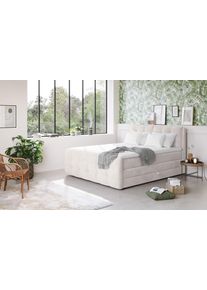 Boxspringbett COTTA "Fort mit Bettkasten, inkl. Topper", beige (natur), B:181cm L:228cm, 100% POLYESTER (PES), Komplettbetten, Boxspringbett, erh&auml;ltlich in verschiedenen Breiten (160cm, 180cm & 200cm)