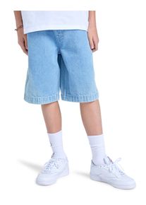 Jeansshorts Element "Carpenter 18.5", Jungen, Gr. 8(125-130cm), bleach, Obermaterial: 80% Baumwolle, 20% Baumwolle., Jeans Jeansshorts