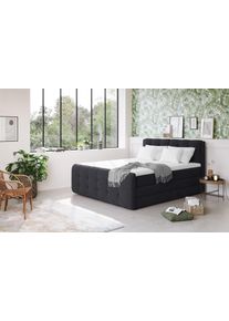 Boxspringbett COTTA "Fort mit Bettkasten, inkl. Topper", schwarz, B:161cm L:228cm, 100% POLYESTER (PES), Komplettbetten, Boxspringbett, erh&auml;ltlich in verschiedenen Breiten (160cm, 180cm & 200cm)