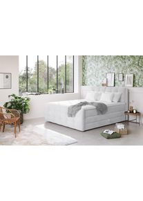 Boxspringbett COTTA "Fort mit Bettkasten, inkl. Topper", grau (steinfarben), B:161cm L:228cm, 100% POLYESTER (PES), Komplettbetten, Boxspringbett, erh&auml;ltlich in verschiedenen Breiten (160cm, 180cm & 200cm)