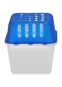 Daily T&auml;glicher Feuchtigkeitsabsorber zu Hause 450g, Luftentfeuchter