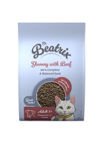 Beatrix Adult Cat s hov&auml;dz&iacute;m 1,4 kg