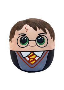 Ty Harry Potter: Harry