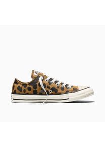 Sneaker Converse "CHUCK TAYLOR ALL STAR COW PRINT", Damen, Gr. 42,5, braun (honey stick, schwarz, egret), Textil, Schuhe Sneaker