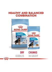 Royal Canin Maxi Puppy 4kg + Maxi Puppy in So&szlig;e 10x140g