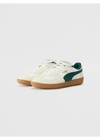 Puma Drenge Sneakers 'Palermo' guld / smaragd / hvid St&oslash;rrelse 4