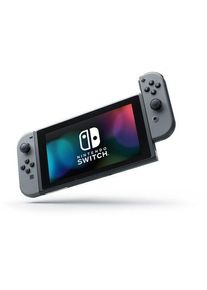 Nintendo Switch 2017 | inkl. Spiel | grau | 2 Controller | Animal Crossing: New Horizons
