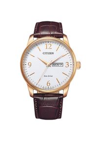 Citizen, Herren, Solaruhr Armbanduhr, Herrenuhr, braun-wei&szlig;, Attraktive Herrenarmbanduhr