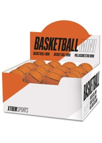 Xtrem Sports, Basketballkorb