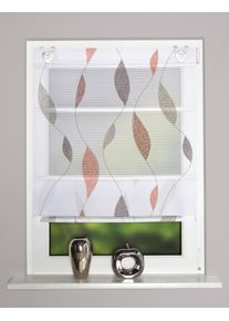 Magnetrollo Home Wohnideen "PAOLO", terra, B:60cm H:130cm, Obermaterial: 100% Polyester, Raffrollos, Magnetrollo, digital bedruckt