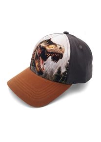 Baseball Cap MaxiMo, Jungen, Gr. 51/53, anthrazit, Canvas, Obermaterial: 75% Baumwolle, 25% Polyester, Caps Baseball Cap, Frontprint, Klettverschluss, zweifarbig, Basecap, Boys