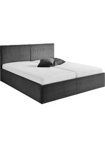 Westfalia Schlafkomfort, Polsterbett, anthrazit, Bezug. Hochwertiger Breitcord, 100% Polyester pflegeleicht, Polsterung: Polsterwatte, Material 